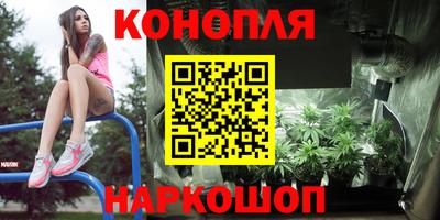 сатива Усть-Илимск