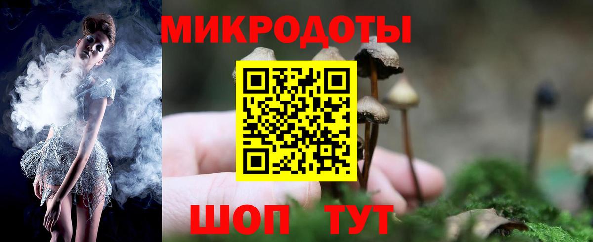 Псилоцибиновые грибы Psilocybe Острогожск